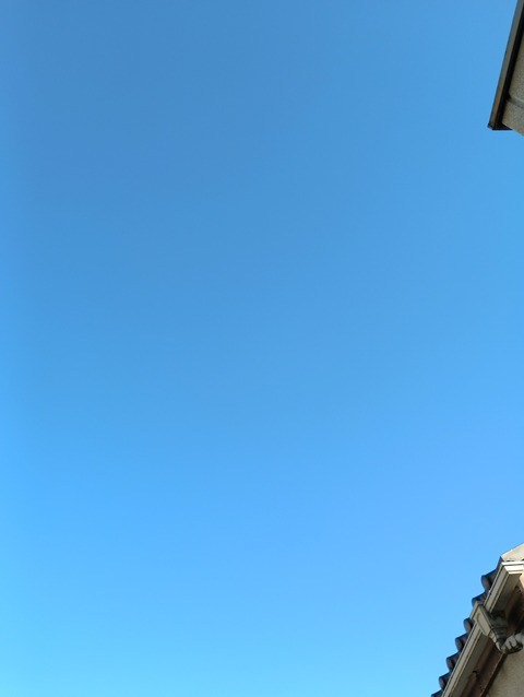 IMG_20260304_162446_1