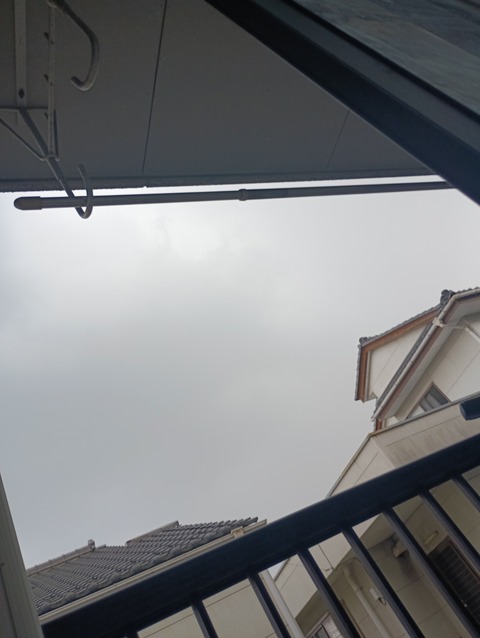 IMG_20250827_164650_1