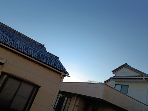 IMG_20260203_163957_1