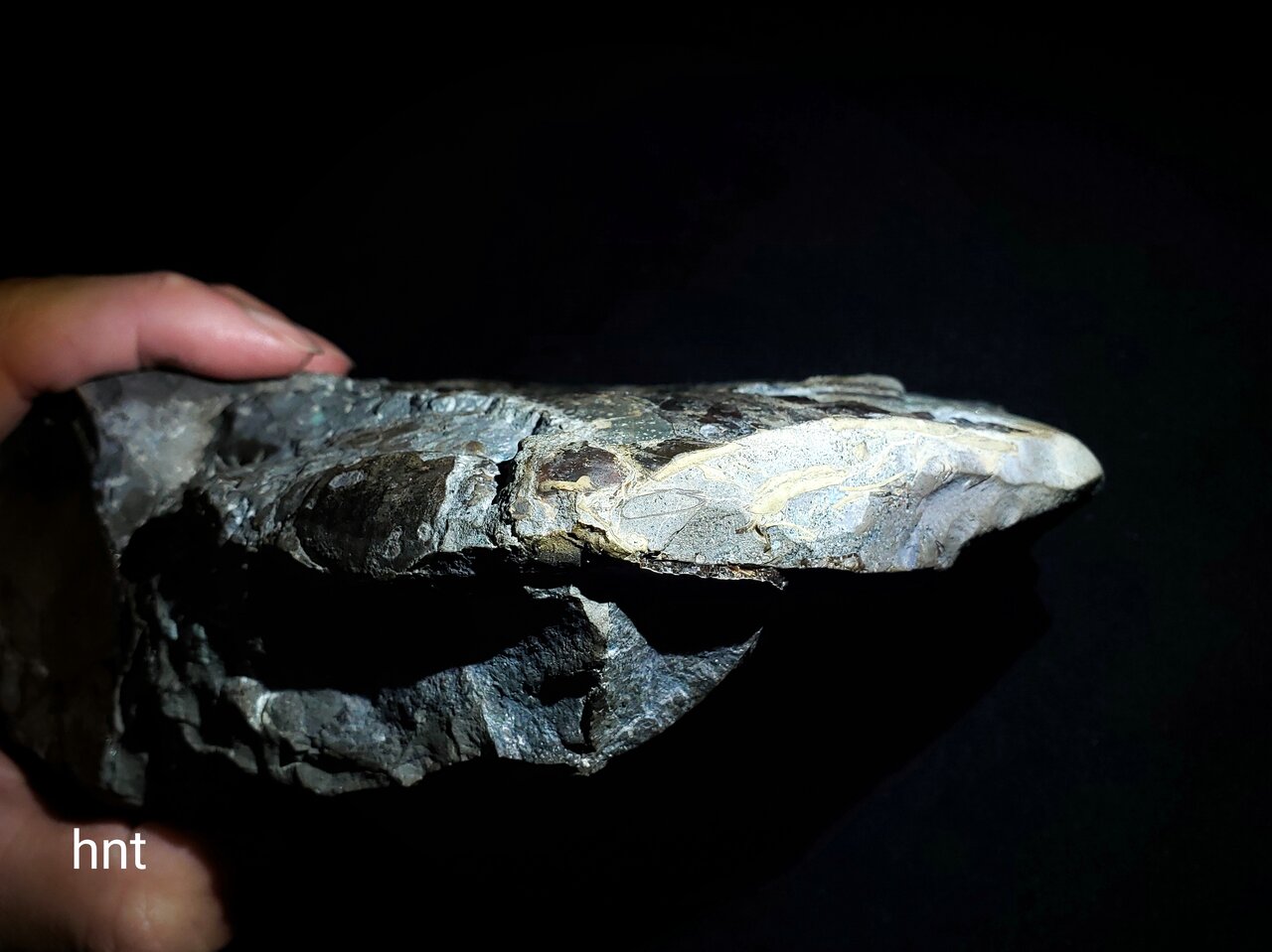 今年の最強 : 石拾いの日記