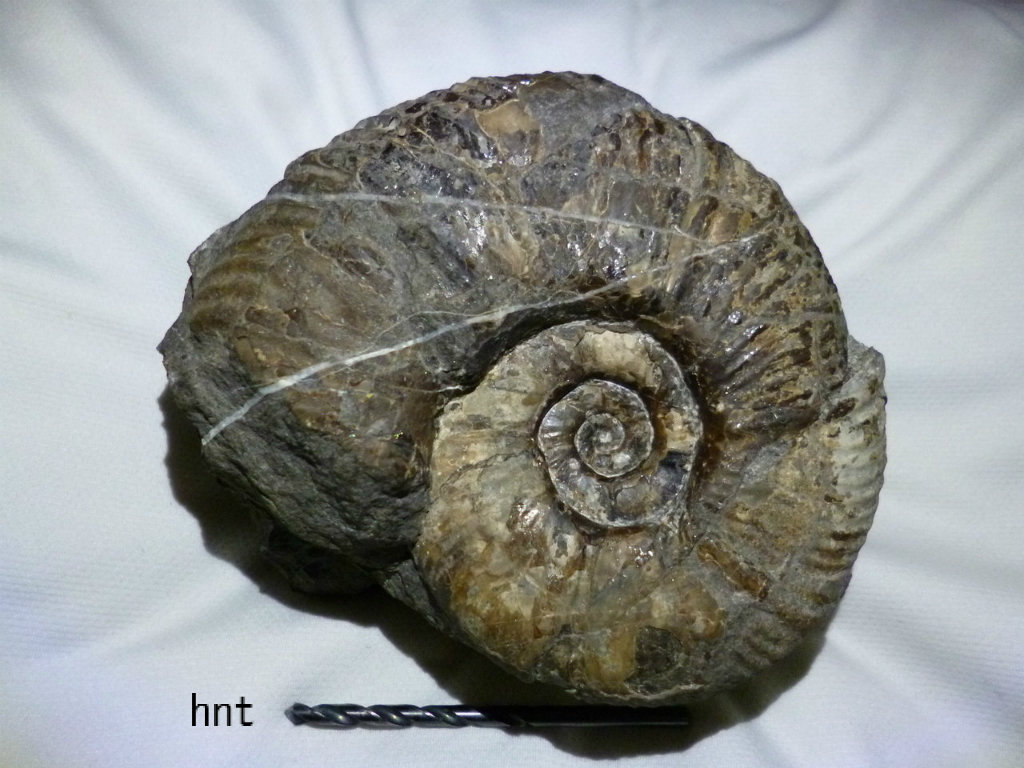 冬入り宣言 : 石拾いの日記