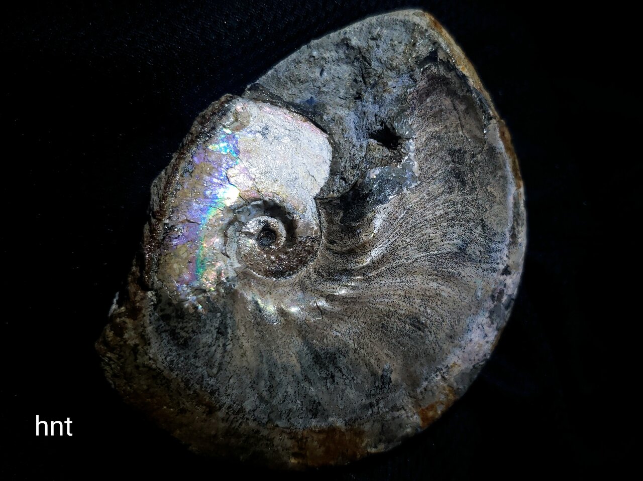 2022年top5 : 石拾いの日記