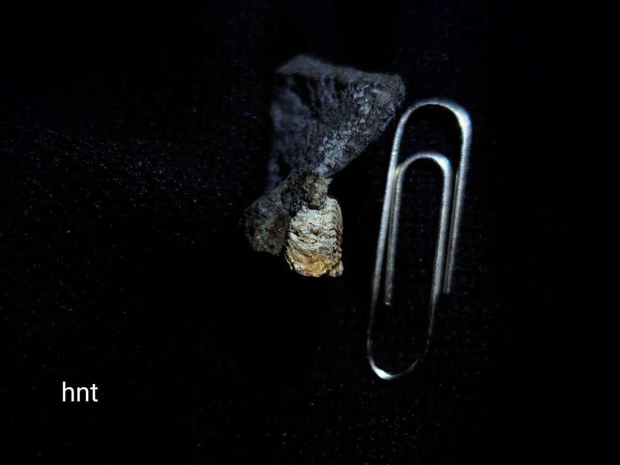 衝撃の1枚 : 石拾いの日記