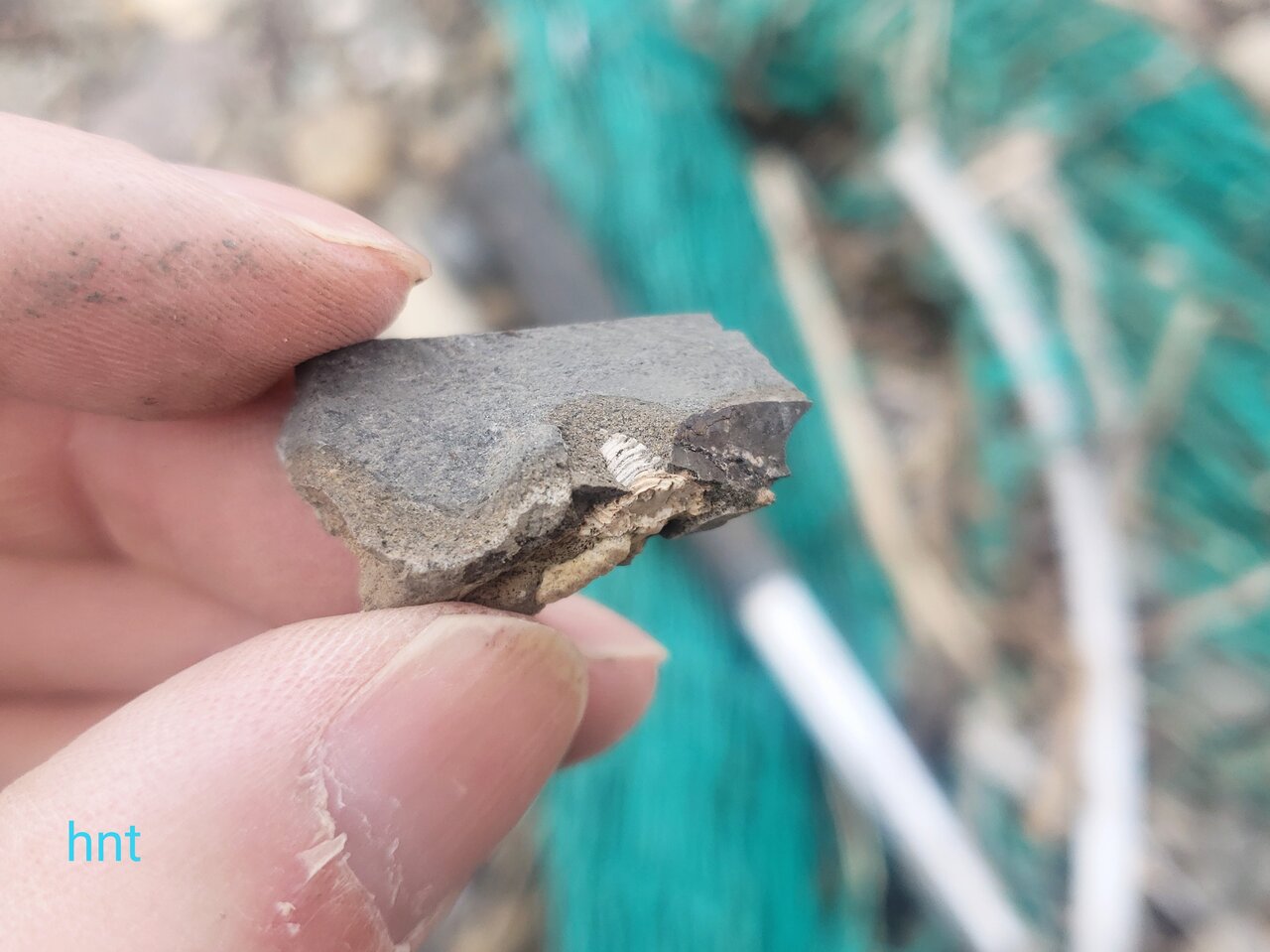 衝撃の1枚 : 石拾いの日記