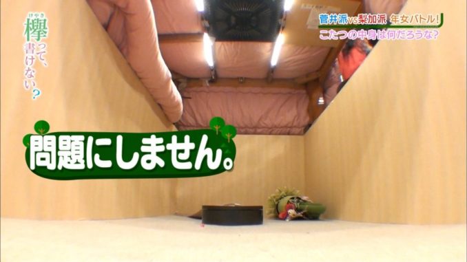 悲報 一流マスコミ 平手友梨奈が去った欅坂46 後輩 日向坂46に冠番組惨敗でオワコン 欅の刃 まとめ速報