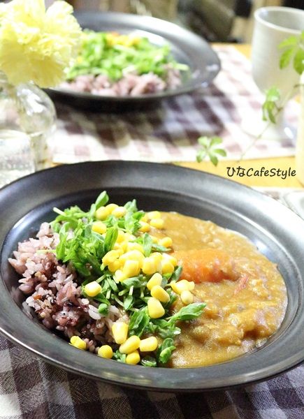 バーミキュラ用のカレールウを使った 家庭用電気圧力鍋 で作るカレー ひなcafestyle