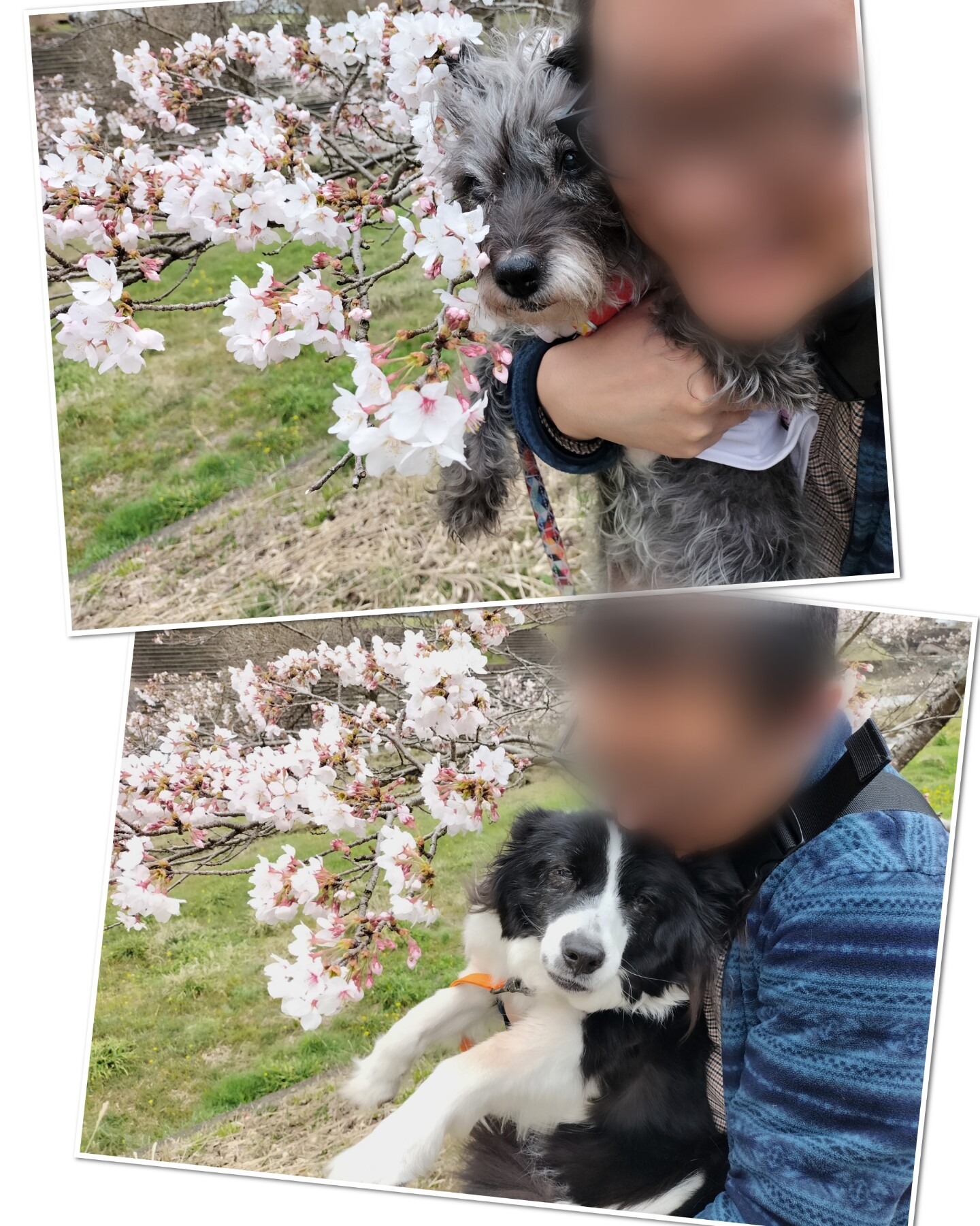 Point Blur_20260403_173843