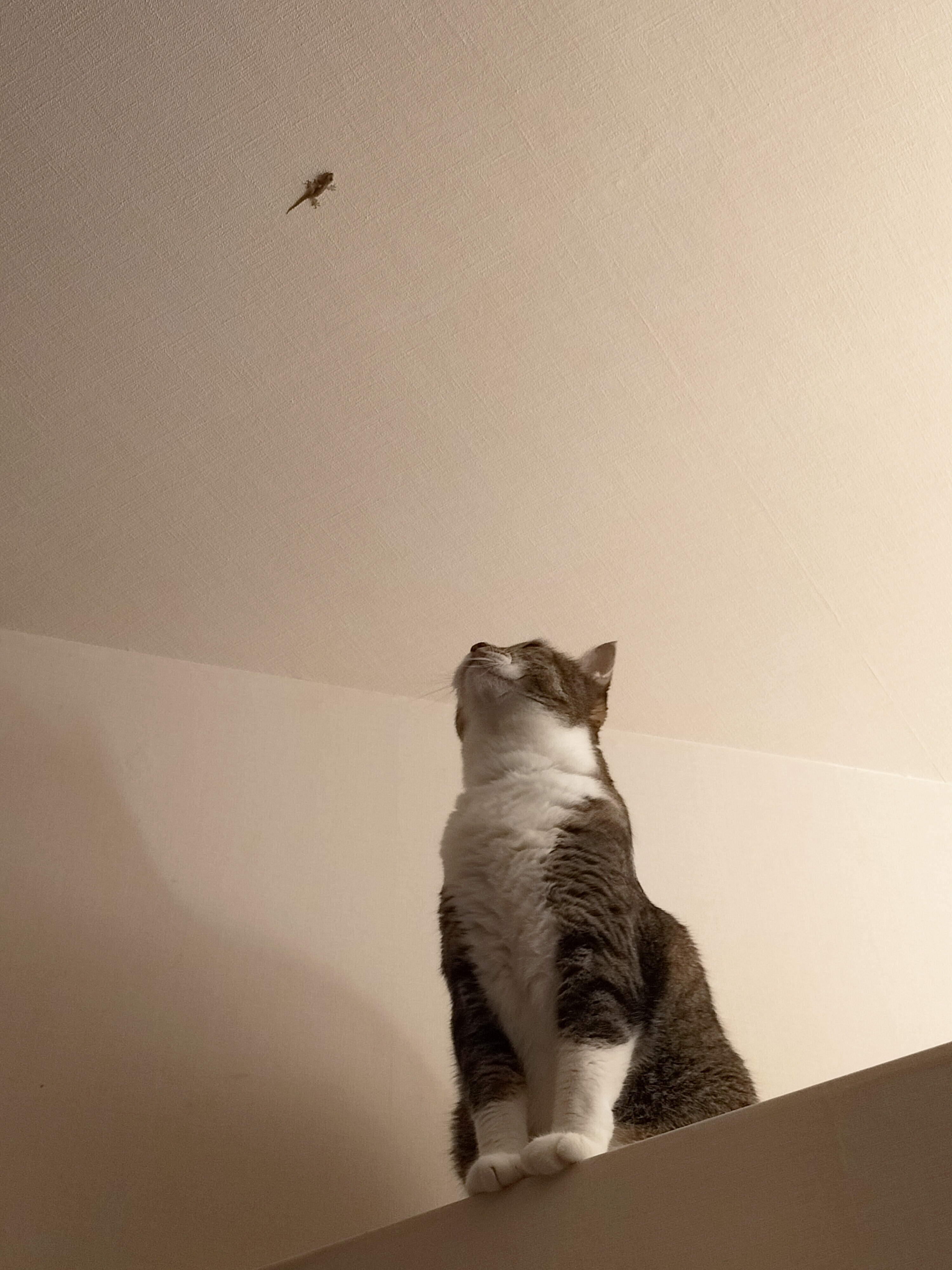 IMG20240914001744