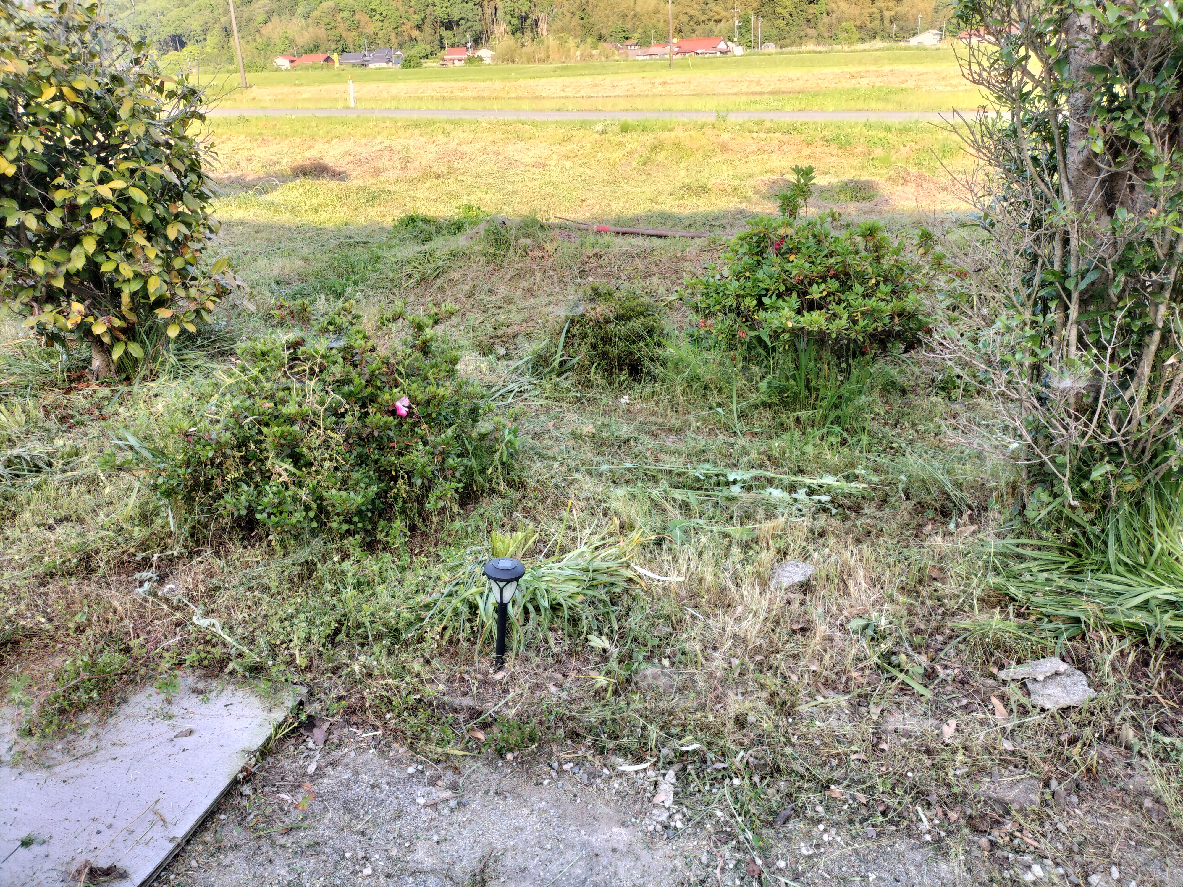 IMG20260516171857