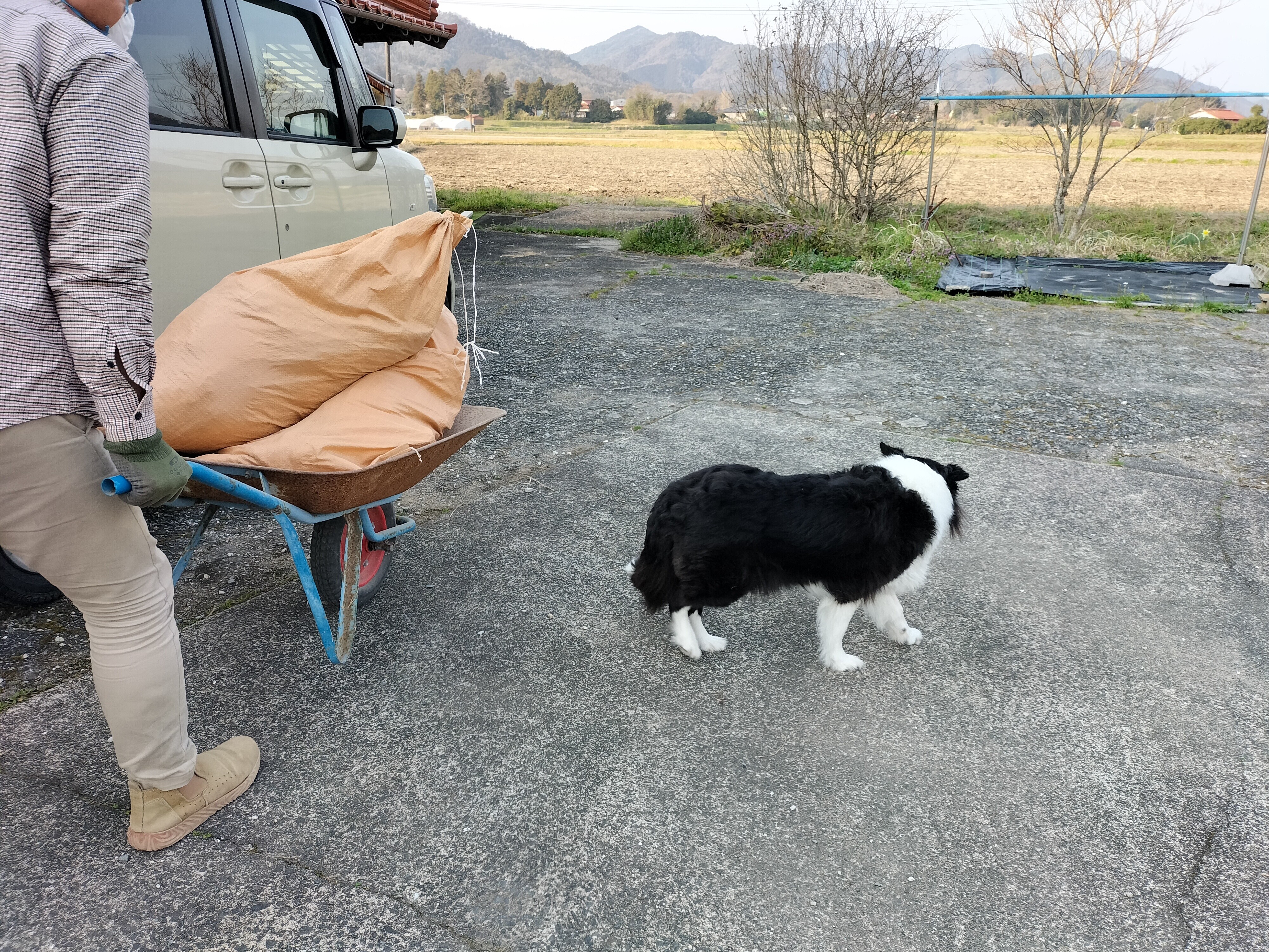 IMG20260329164426