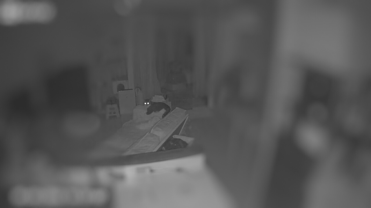 1777631828264-01
