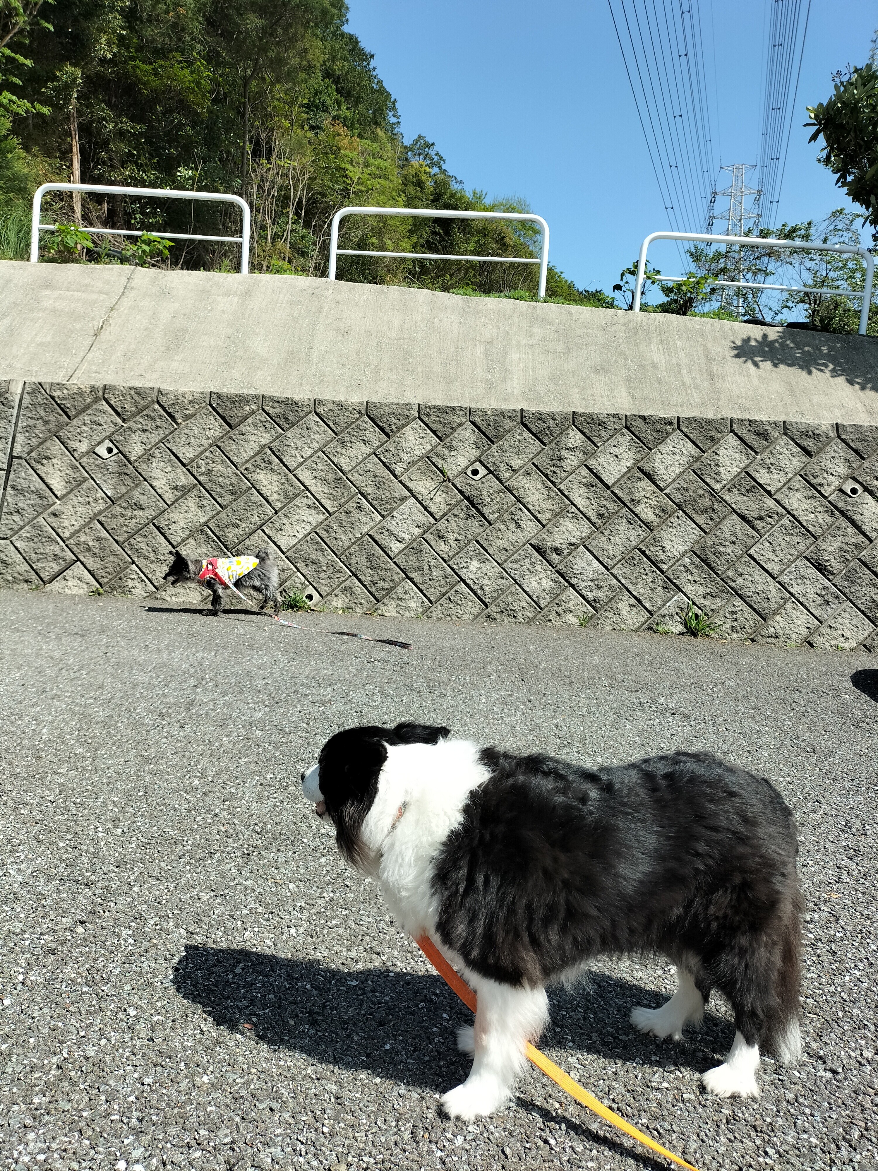 IMG20260416141321