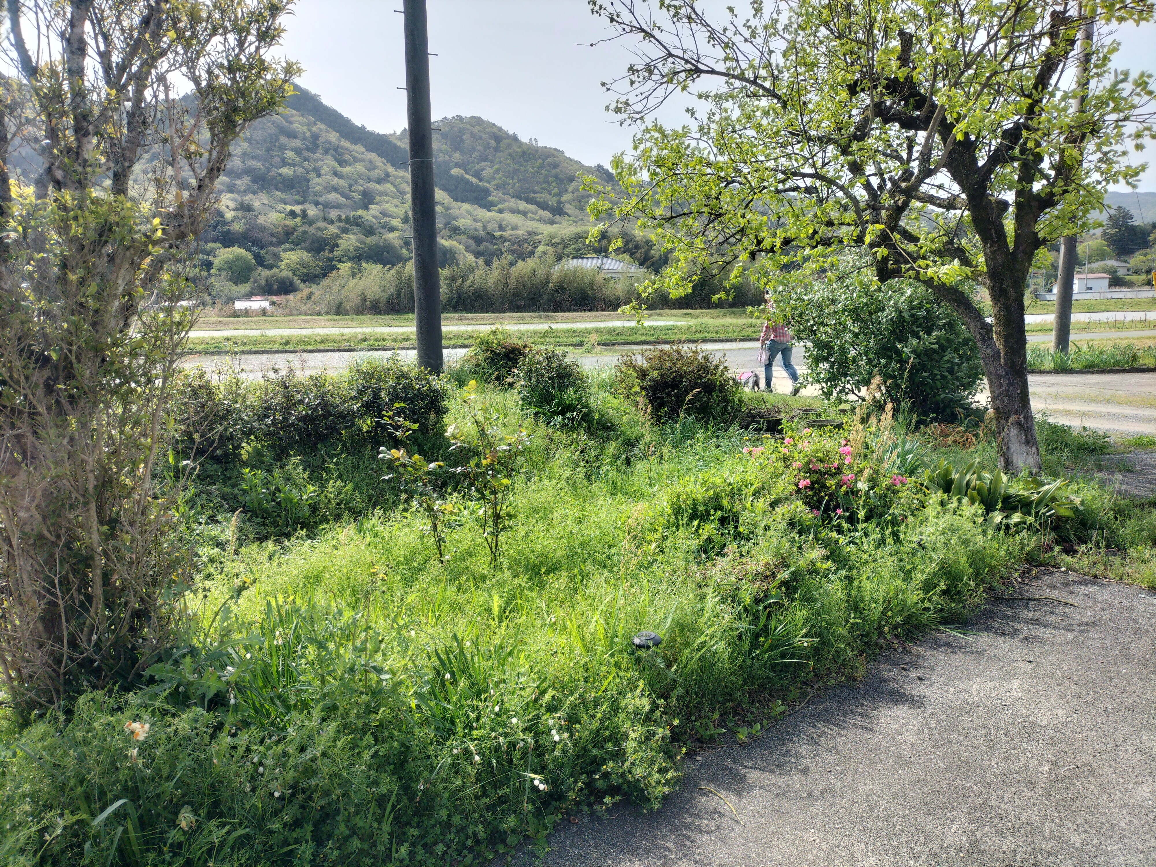IMG20260421091851