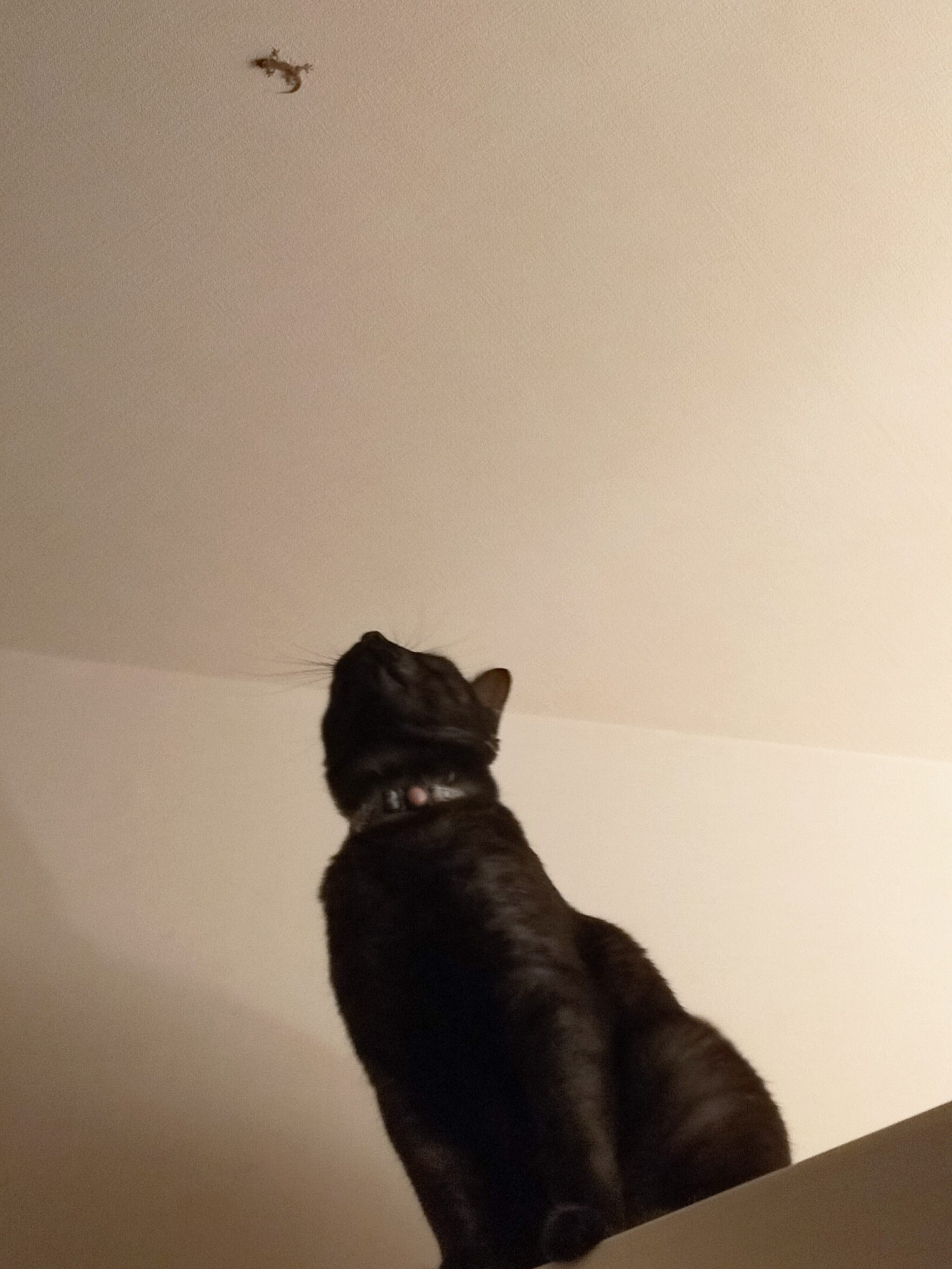 IMG20240914002019