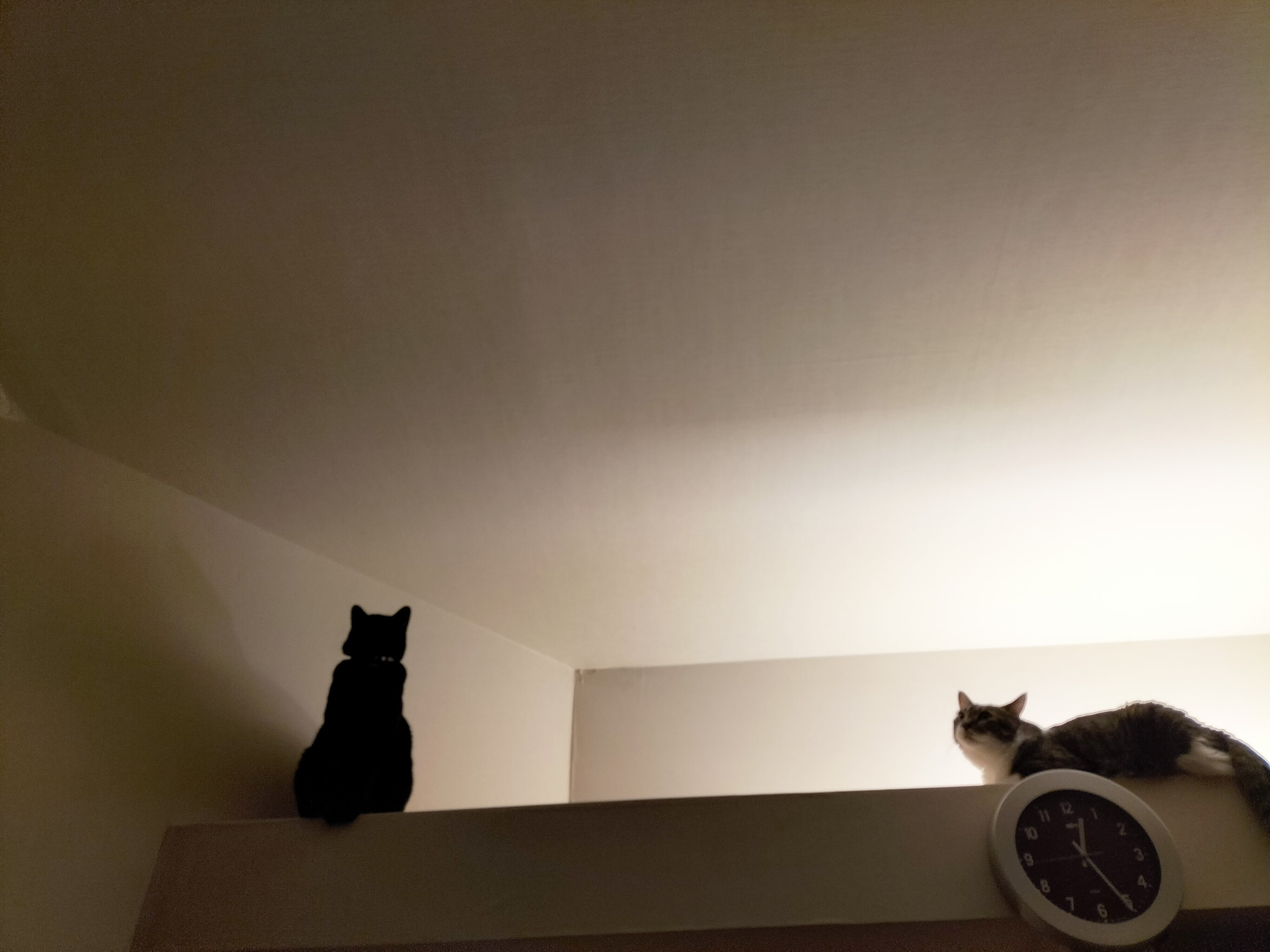 IMG20240914002220