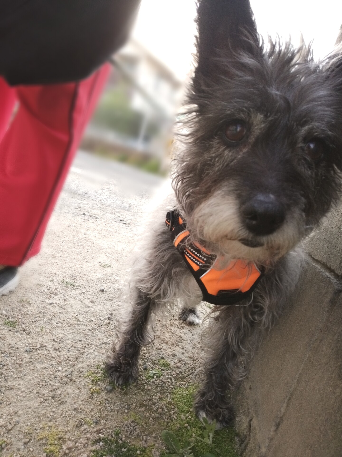 Point Blur_20250501_181256