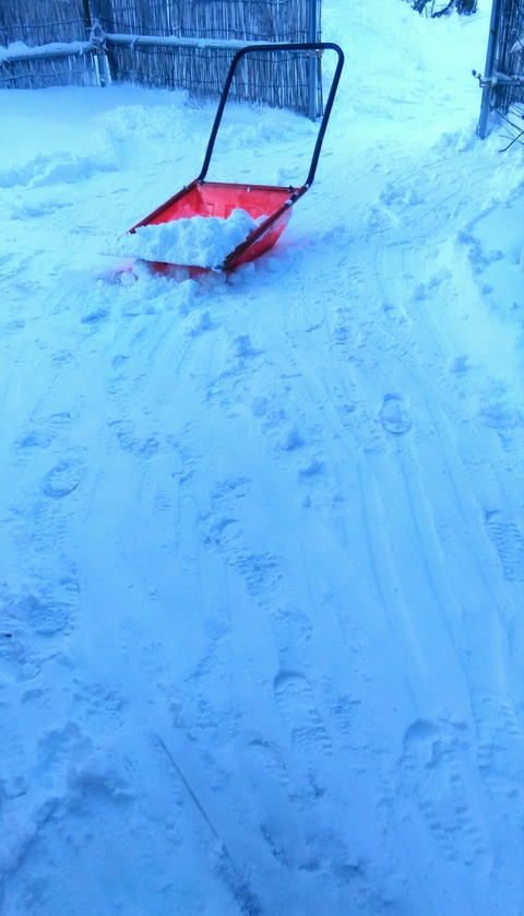 P_20201220_075207_1