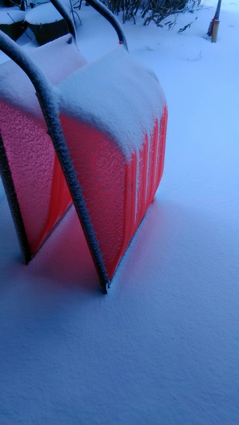 P_20201220_074303