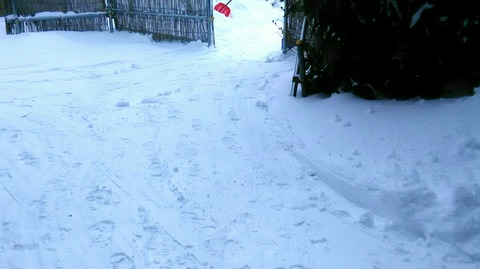 P_20201221_075433_1_1