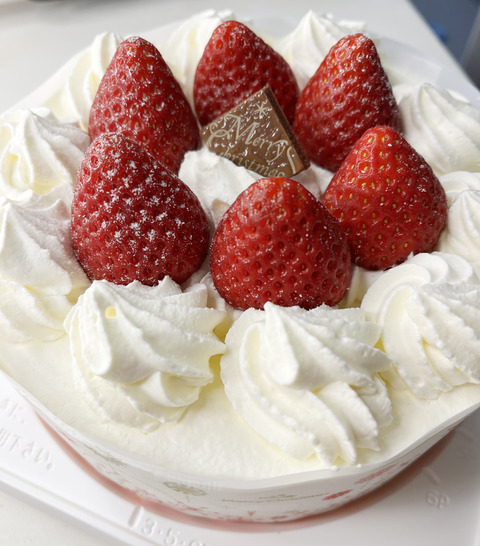 写真 2024-12-25 9 12 52