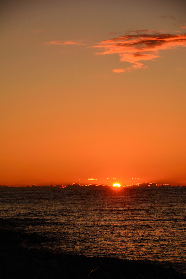 DSC_2751