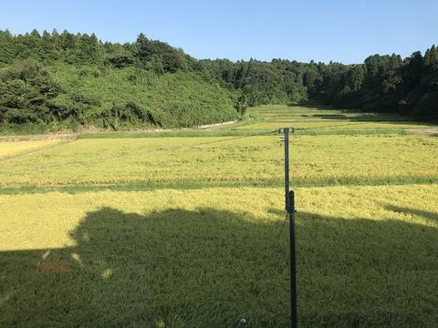 田園風景