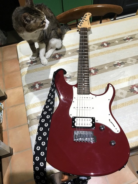 red guitar size down