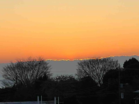 IMG_3469