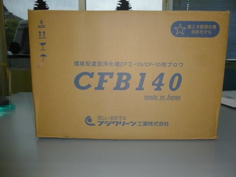 P1010646
