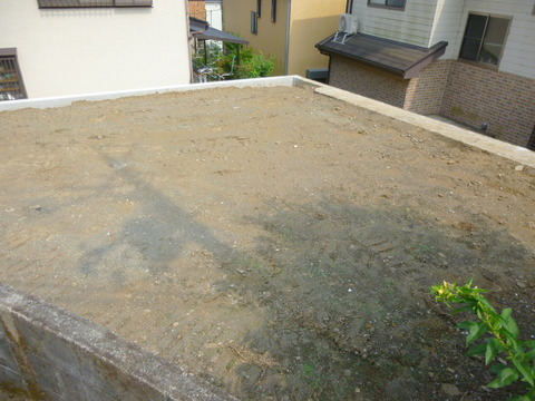 P1010653