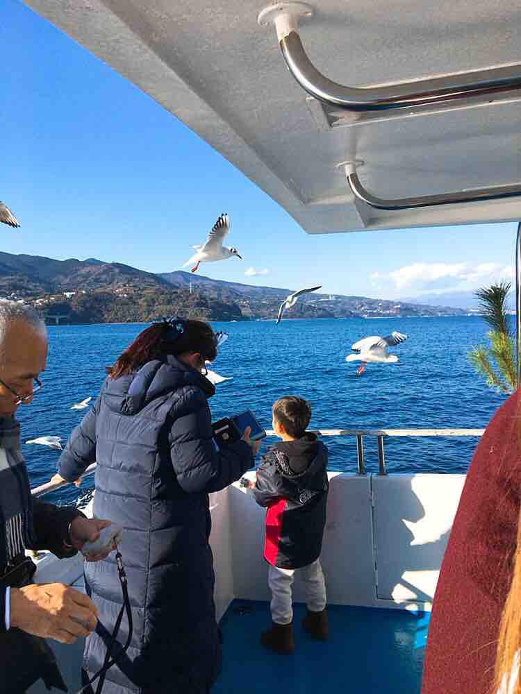 鳥 真鶴半島遊覧船 ひのき建設 雑文箱