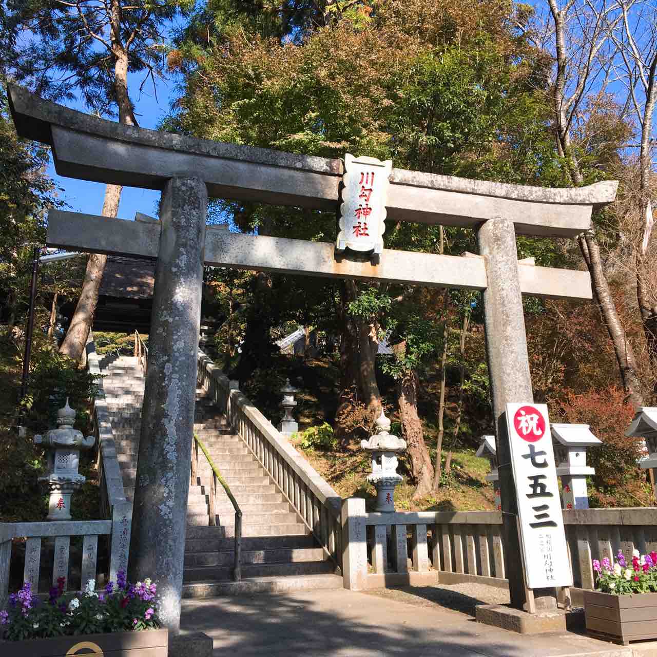 川勾神社 二宮町 ひのき建設 雑文箱 川勾神社 二宮町 ひのき建設 雑文箱