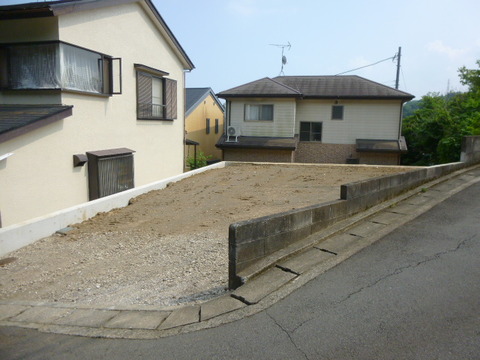 P1010651