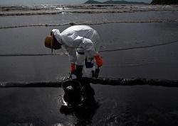 Oil1_1773660a