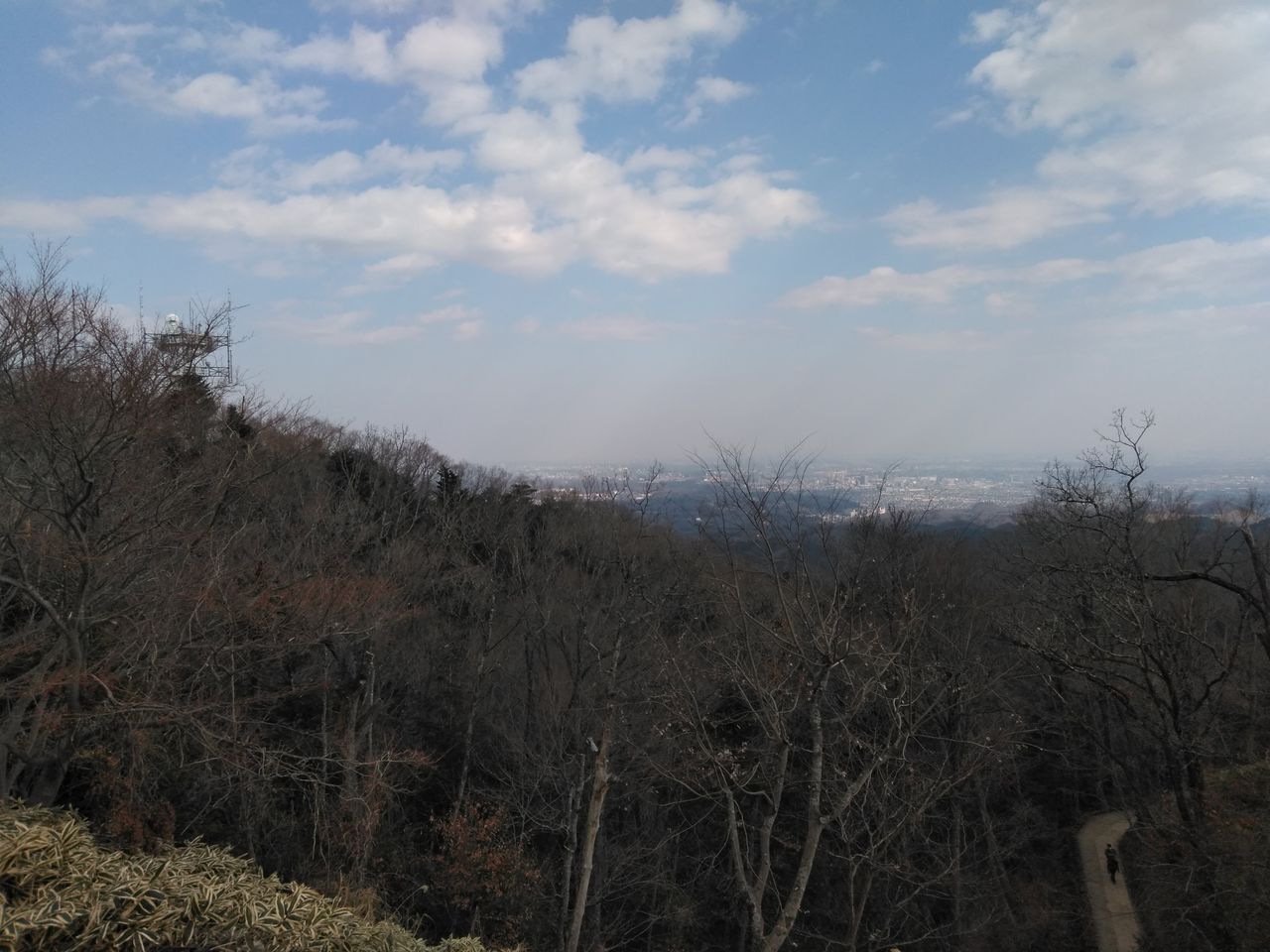 只今の高尾山山頂からの都心 日野のむうちゃん 只今の高尾山山頂からの都心 日野のむうちゃん
