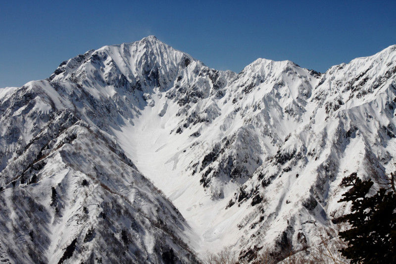 雪の鹿島槍ヶ岳 カクネ里 を撮る 13 3 16 火の鳥草 発掘記