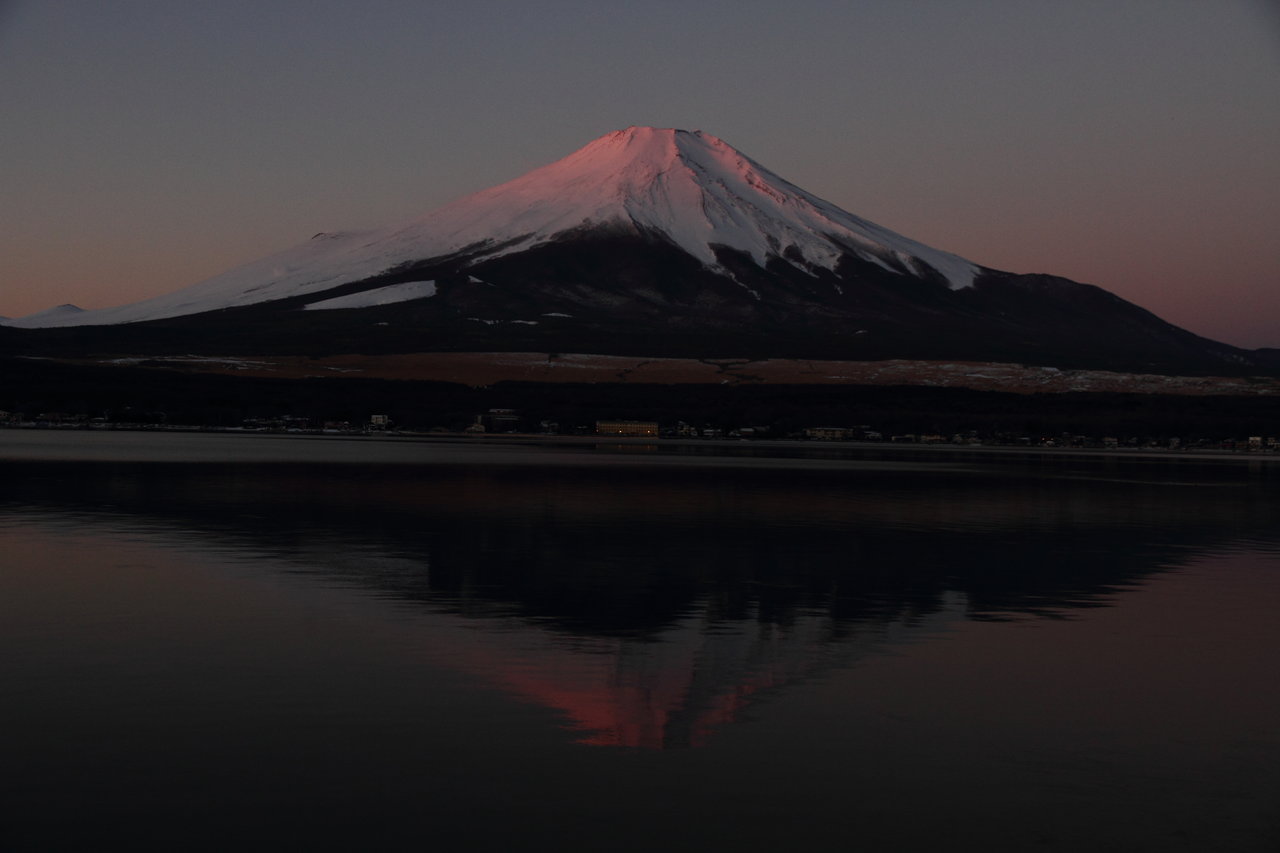 富士山 山中湖での夜明け 火の鳥草 発掘記