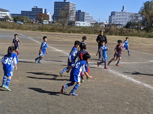 PXL_20201121_023058441