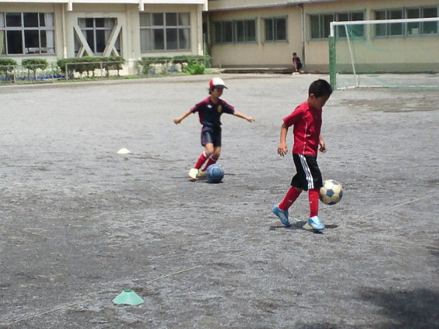 7682fcb8.jpg