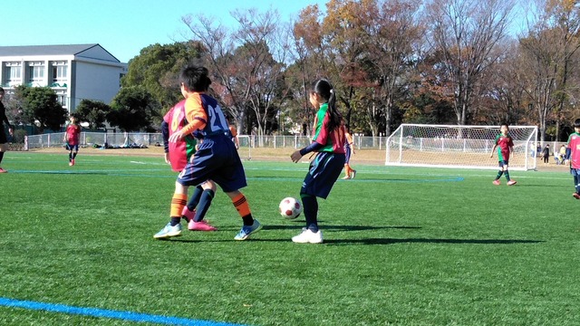 IMG_20201206_113414