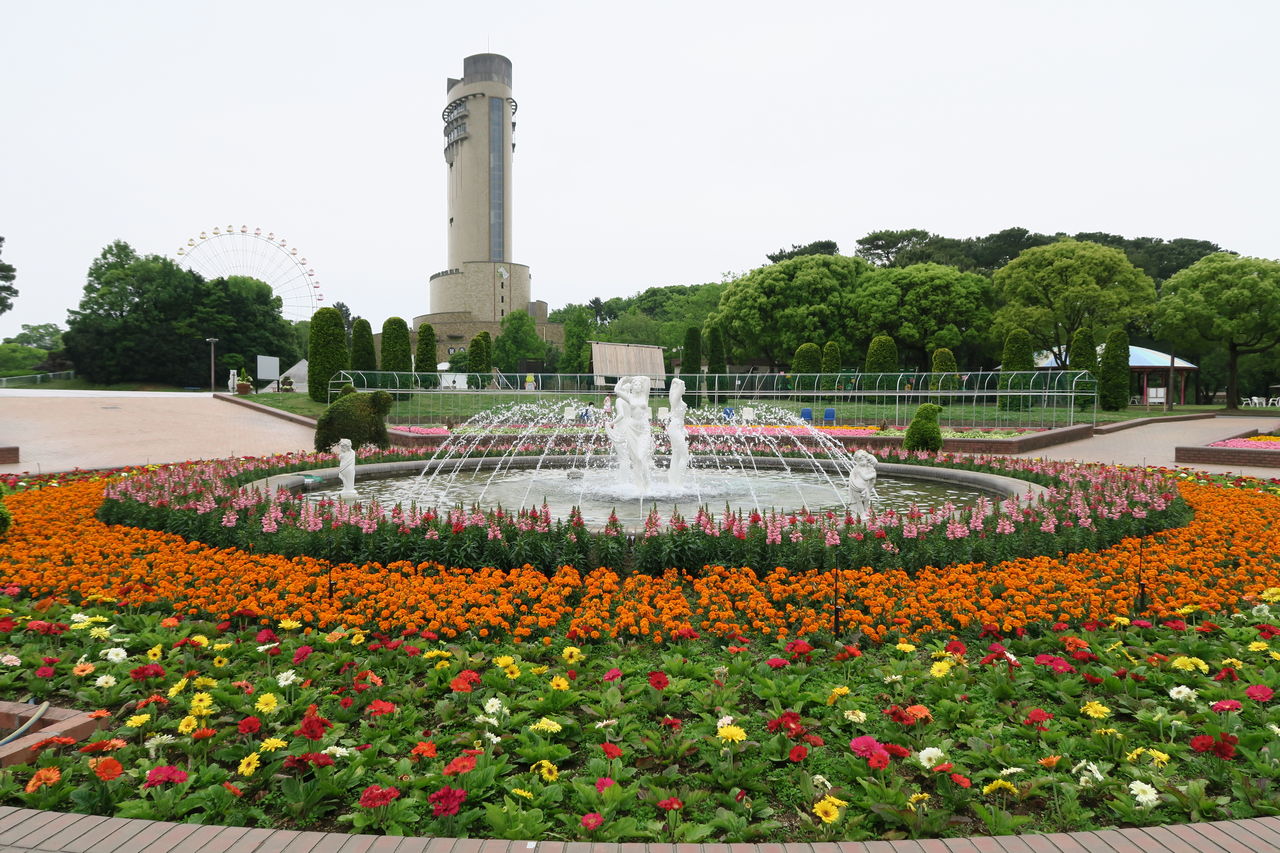 のんほいパーク Compact Disco Studio