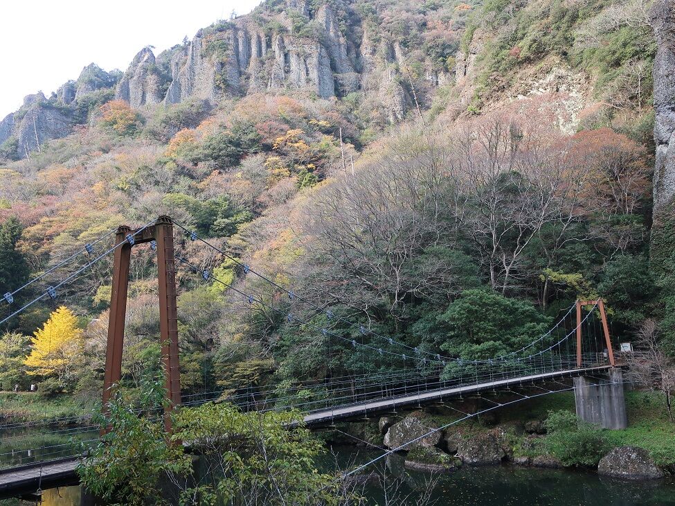 11 山陰 ひんたとびわんのbonvoyage