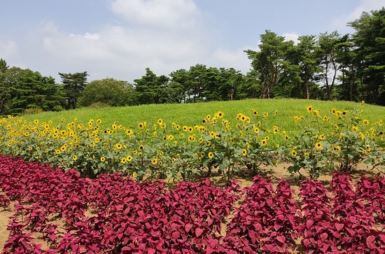 8月 福島 ひんたとびわんのBONVOYAGE! 2018年～