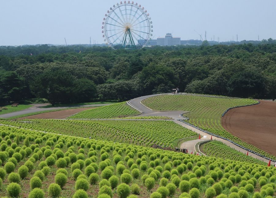 8月 福島 ひんたとびわんのBONVOYAGE! 2018年～