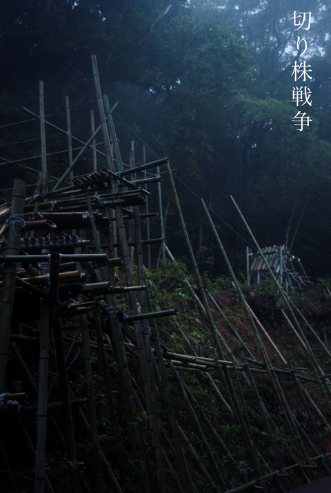 切り株戦争写真1