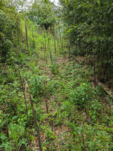 PXL_20240427_021551477