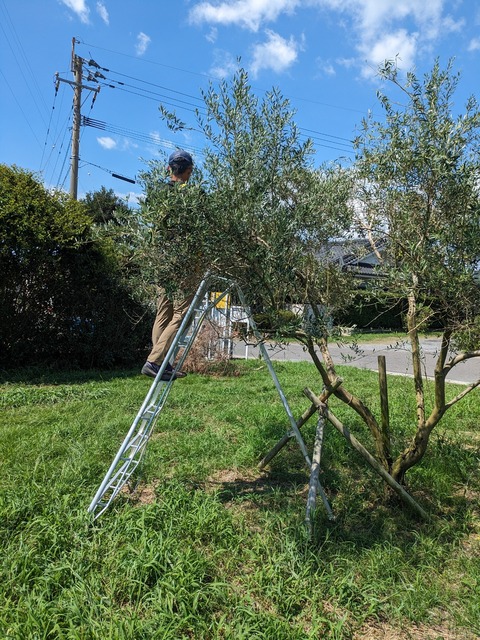 PXL_20240908_042640466