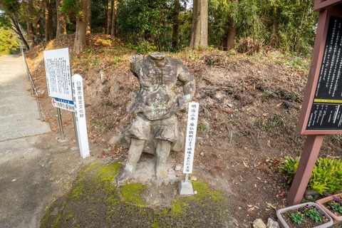 S__28696578