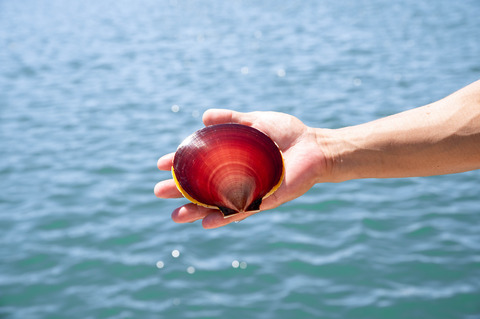 fukiagehamanomirai_02