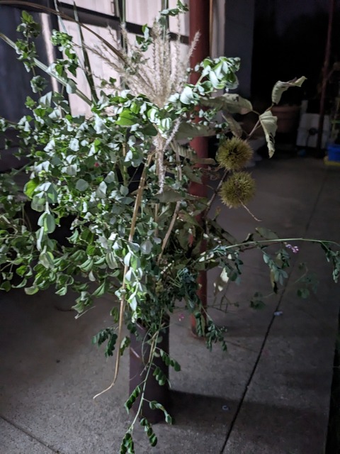 PXL_20230929_101243553